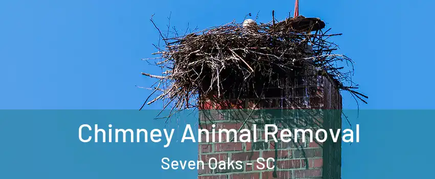  Chimney Animal Removal Seven Oaks - SC