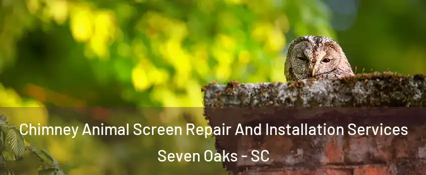  Chimney Animal Screen Repair And Installation Services Seven Oaks - SC