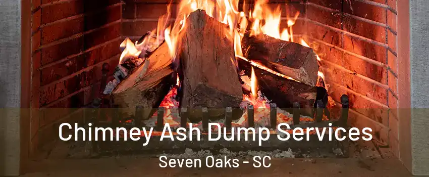  Chimney Ash Dump Services Seven Oaks - SC