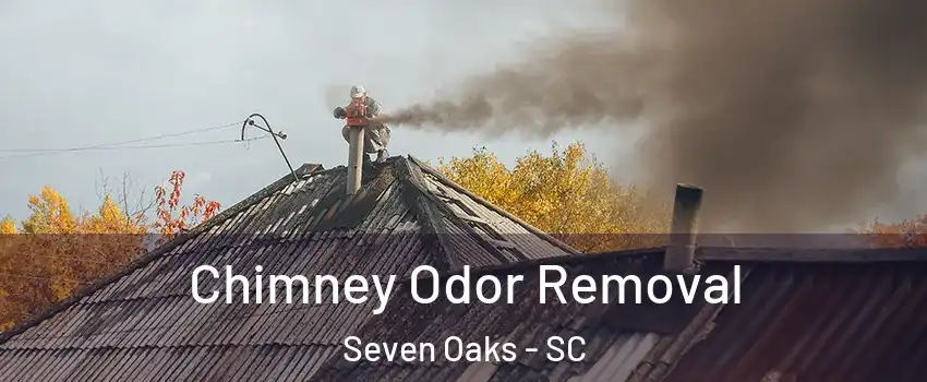  Chimney Odor Removal Seven Oaks - SC