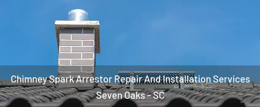  Chimney Spark Arrestor Repair And Installation Services Seven Oaks - SC