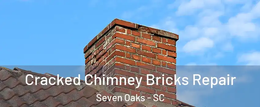 Cracked Chimney Bricks Repair Seven Oaks - SC