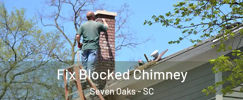  Fix Blocked Chimney Seven Oaks - SC