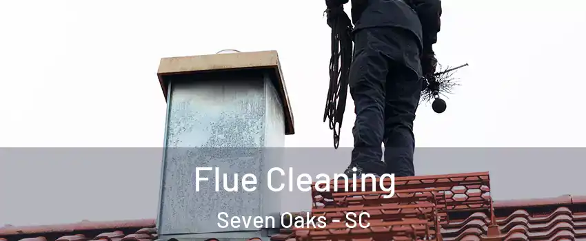  Flue Cleaning Seven Oaks - SC